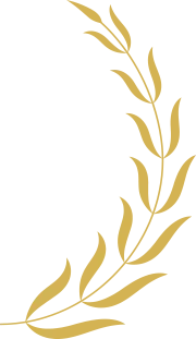 rt mp leaf img